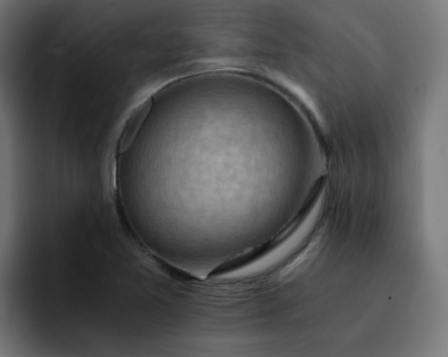 X0000093151365200710101128