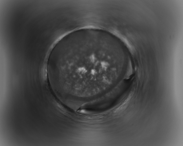 X0000093151367200710101128
