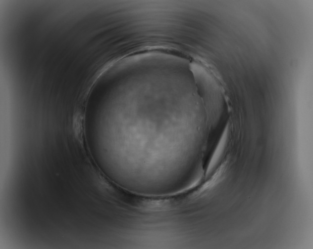X0000093151369200710101128