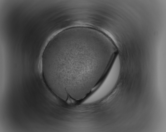 X0000093151371200710101128