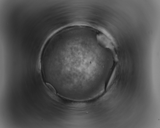 X0000093151372200710101128