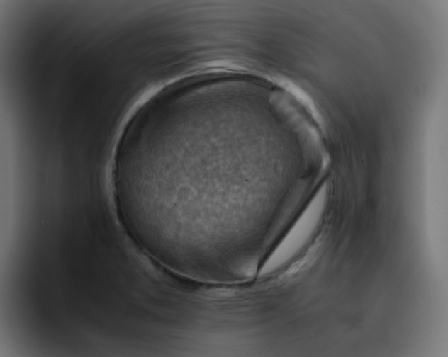X0000093151373200710101128