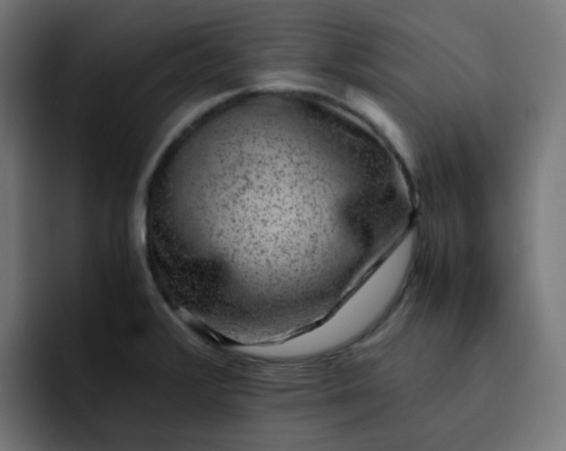 X0000093151376200710101128