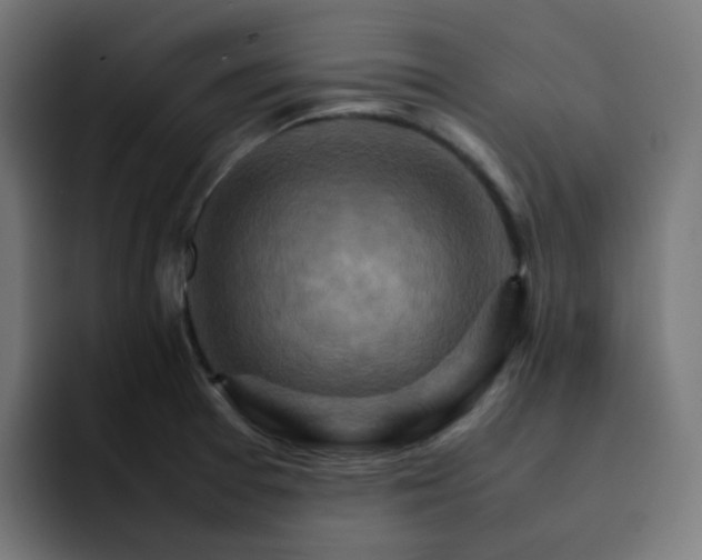 X0000093151377200710101128