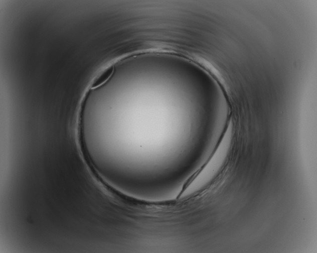 X0000093151379200710101128