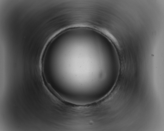 X0000093151380200710101127
