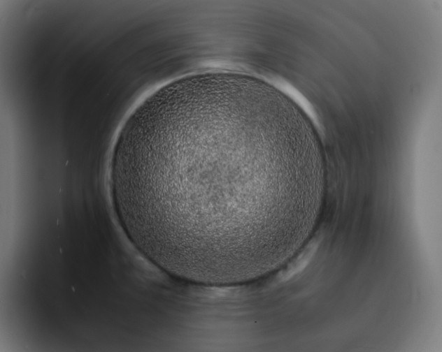 X0000093151381200710101127