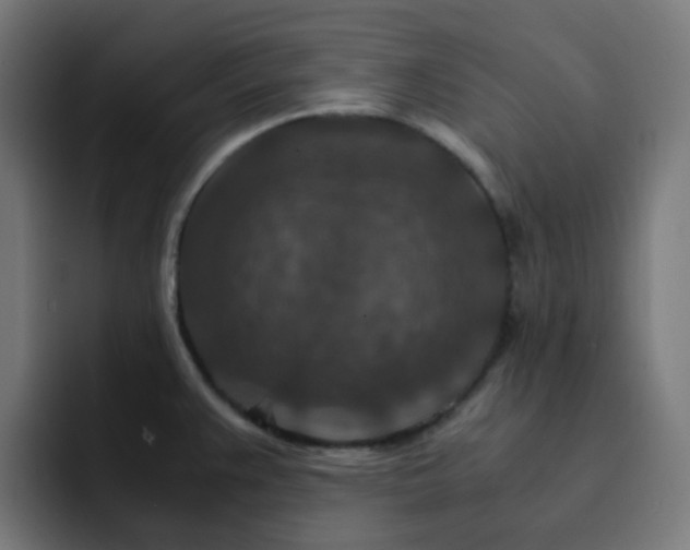 X0000093151383200710101127