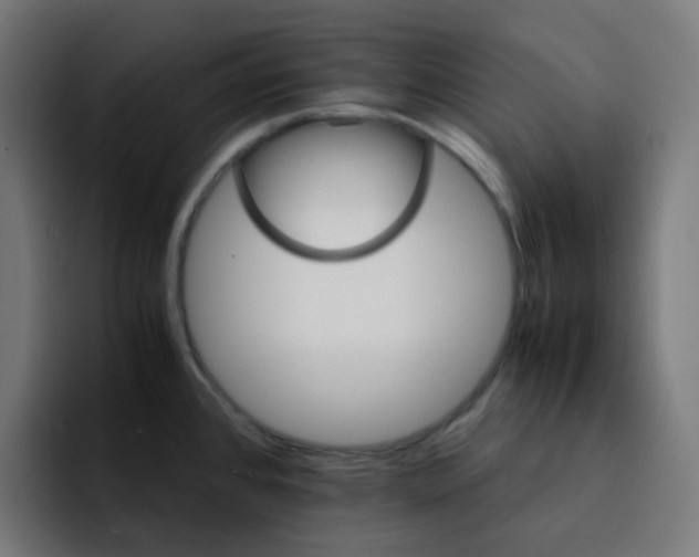 X0000093151384200710101127