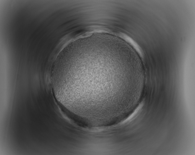 X0000093151385200710101127
