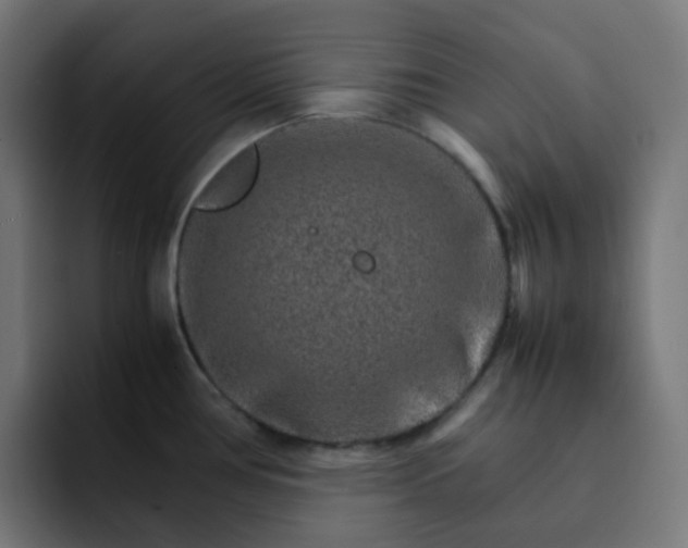 X0000093151386200710101127