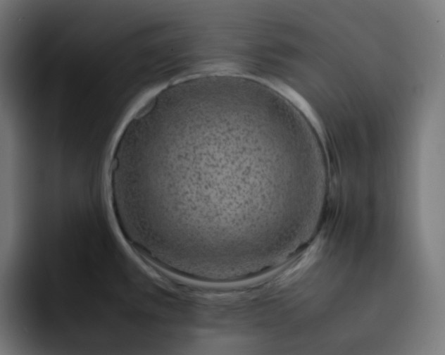 X0000093151389200710101127