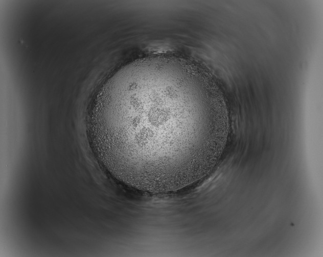 X0000093151393200710101127