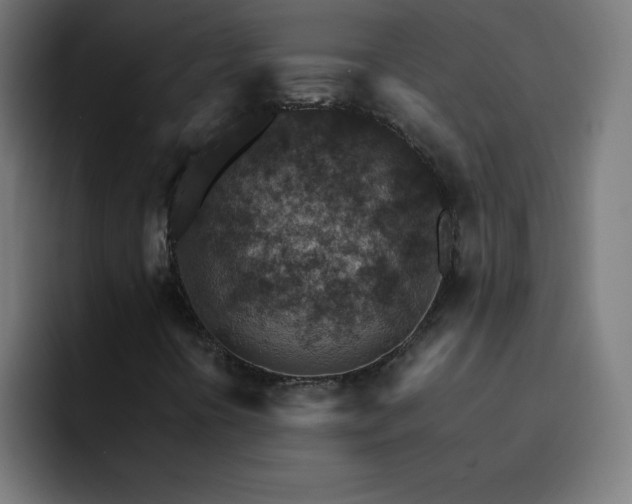 X0000093151394200710101127