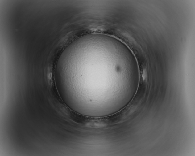 X0000093151396200710101127