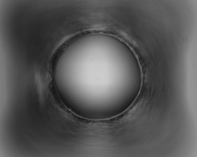 X0000093151400200710101127