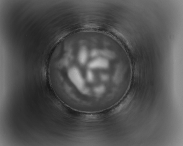 X0000093151401200710101127
