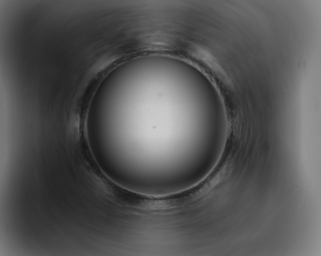 X0000093151402200710101127