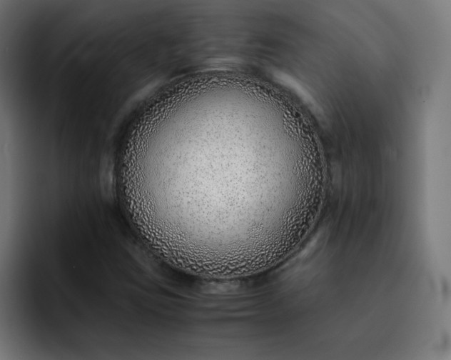 X0000093151403200710101127