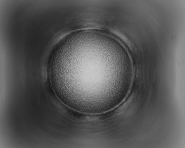 X0000093151407200710101127