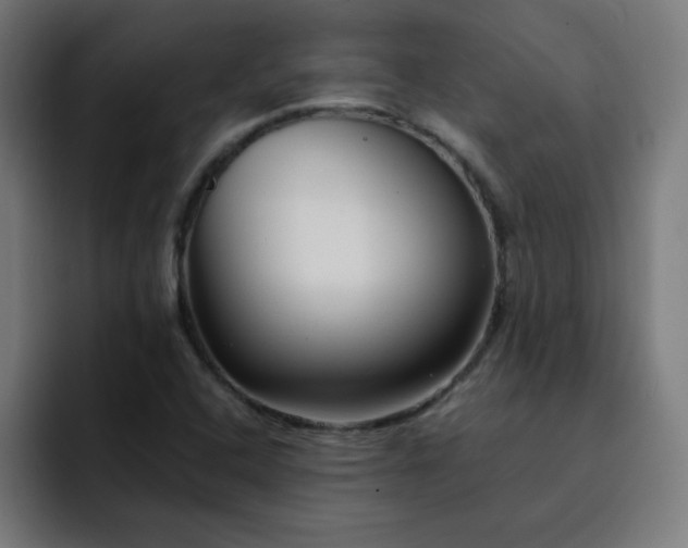 X0000093151408200710101127
