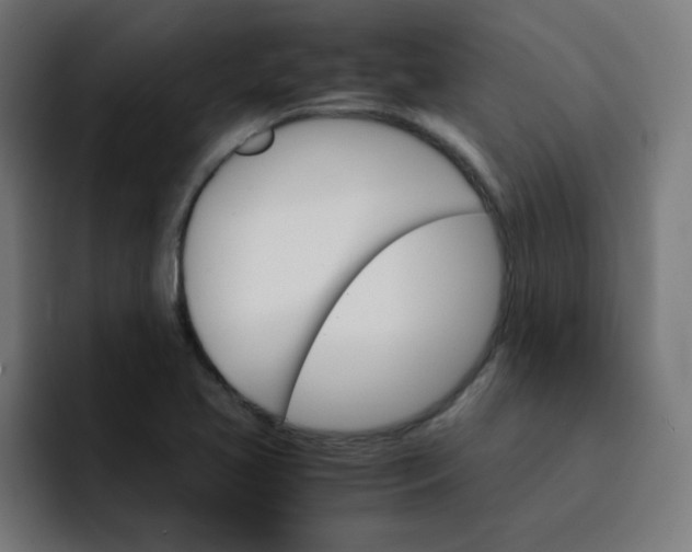 X0000093151413200710101127
