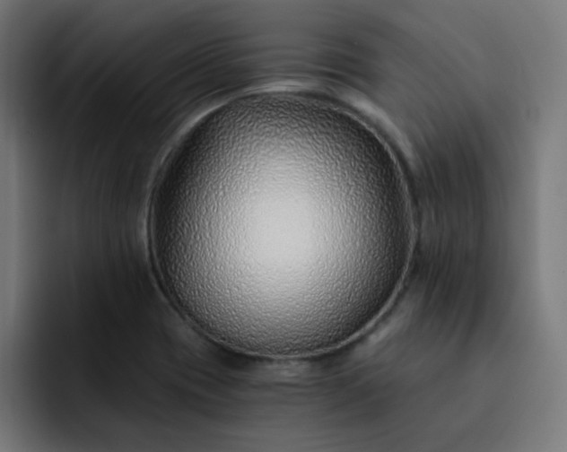 X0000093151417200710101127
