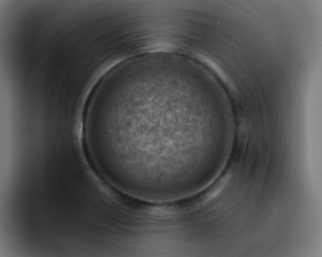 X0000093151418200710101127