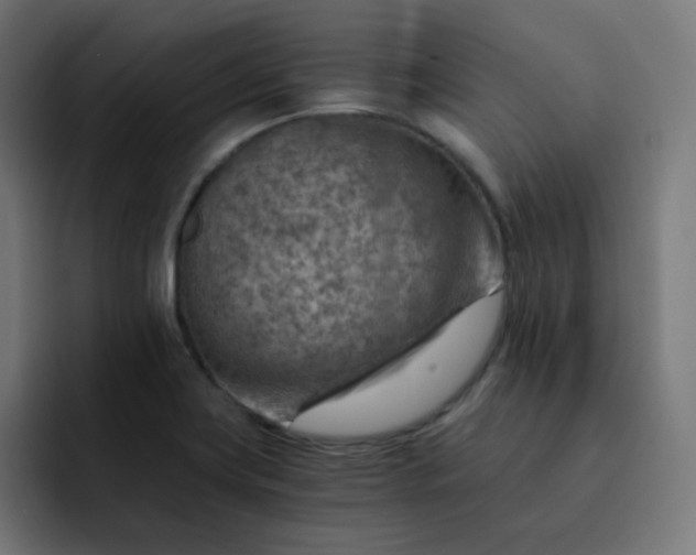 X0000093151419200710101127