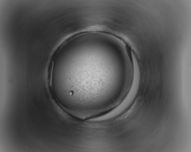 X0000093151422200710101127
