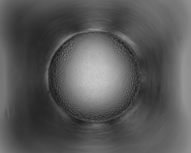 X0000093151423200710101127