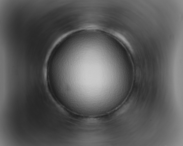 X0000093151424200710101127