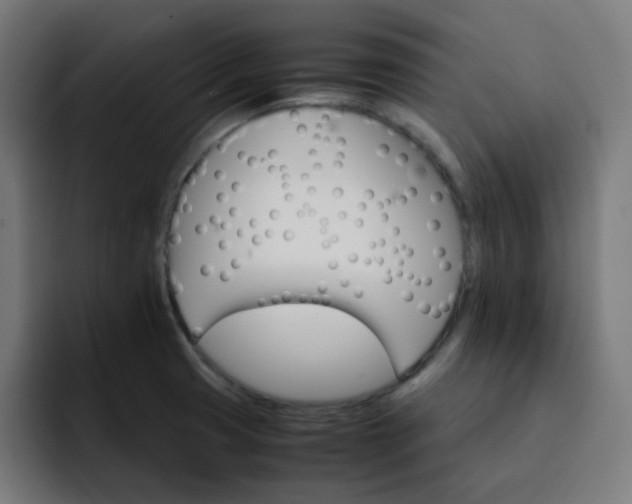 X0000093151425200710101127