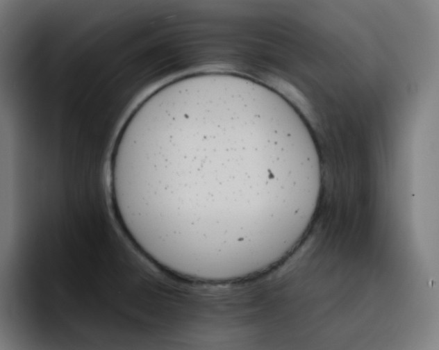 X0000093151428200710101127