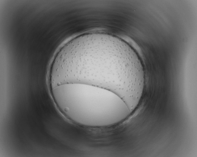 X0000093151429200710101127