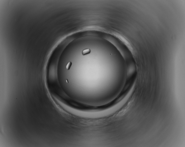 X0000093151430200710101127