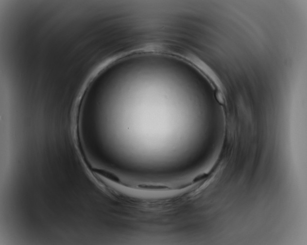 X0000093151437200710101127