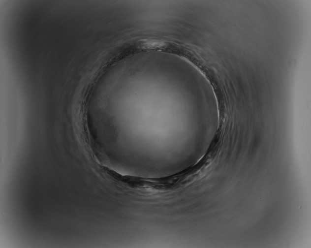 X0000093151441200710101127