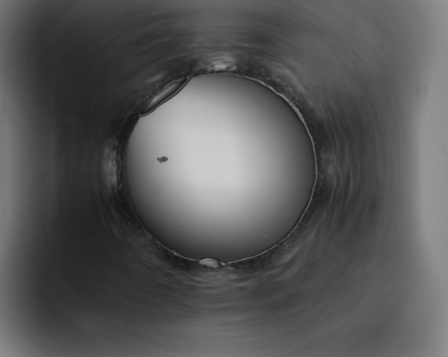 X0000093151442200710101127