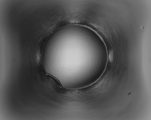 X0000093151444200710101127