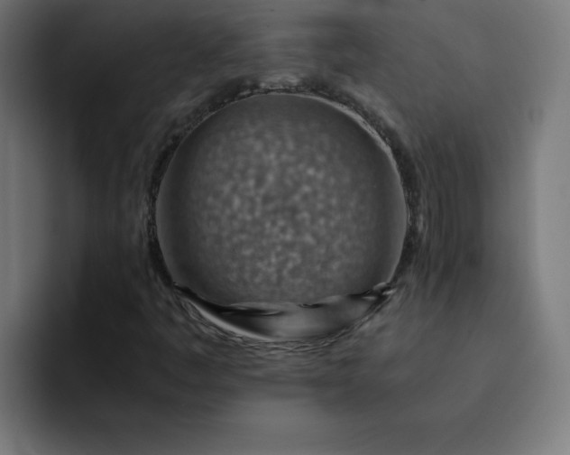 X0000093151445200710101127