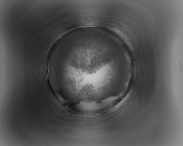 X0000093151449200710101127