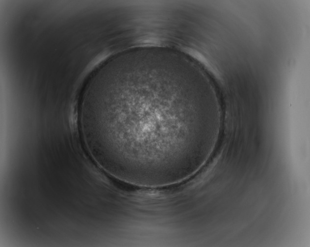 X0000093151450200710101127