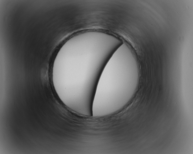 X0000093151452200710101127