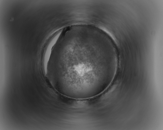 X0000093151453200710101127