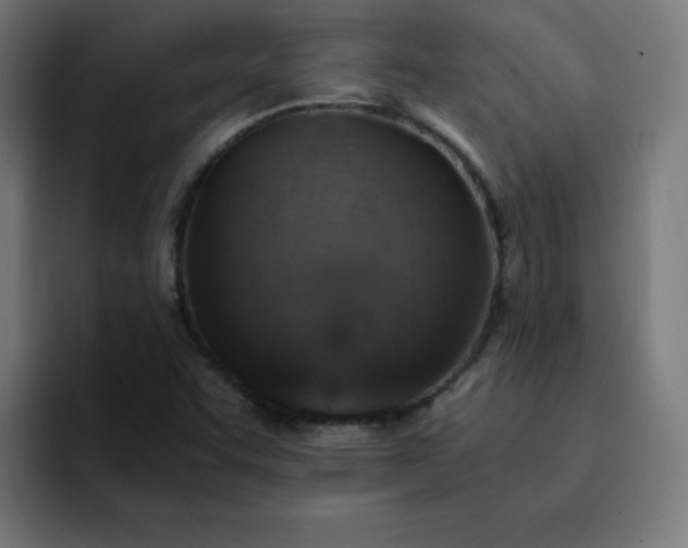 X0000093151455200710101127