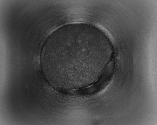 X0000093151457200710101127