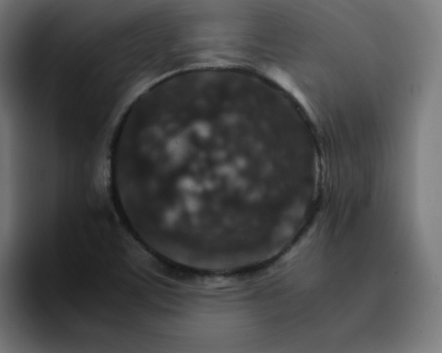 X0000093151459200710101127