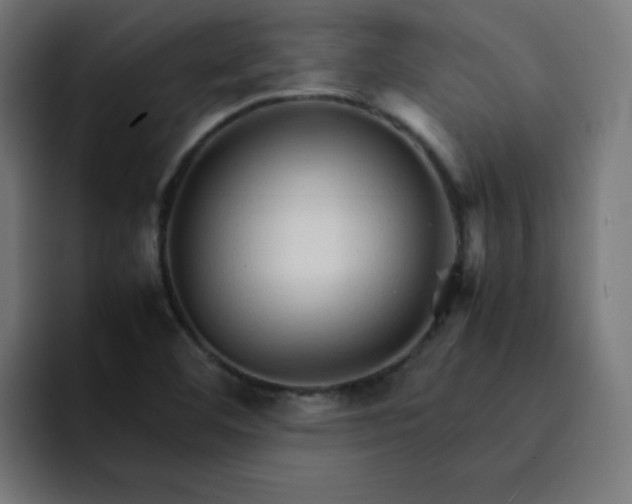 X0000093151460200710101127