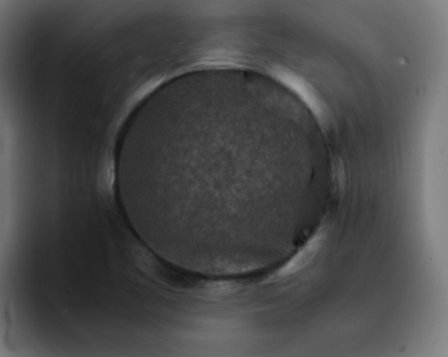 X0000093151461200710101127
